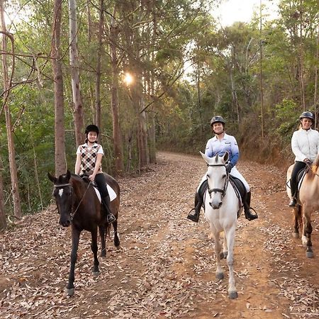 Haras Morena Resort Juiz de Fora Exterior foto